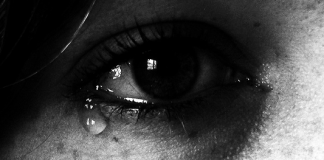 Kurzfilm: Spider | Bis einer heult