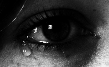 Kurzfilm: Spider | Bis einer heult