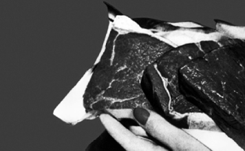 Kurzfilm: Carnivore Reflux