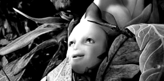 Kurzfilm: Descendants | Bis in den Tod und darüber hinaus