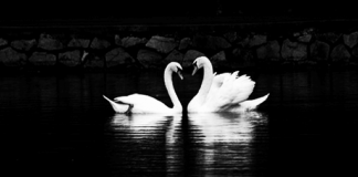 Kurzfilm: Danny & Annie