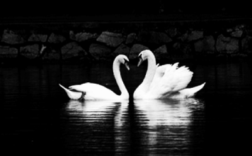 Kurzfilm: Danny & Annie