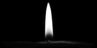 Kurzfilm: Lightheaded