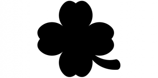 Glück muss man haben.