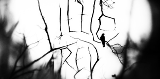 Kurzfilm: Little Red