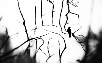 Kurzfilm: Little Red