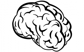 Kurzfilm: Someday, You’ll Remember Today | Wertvolle Augenblicke