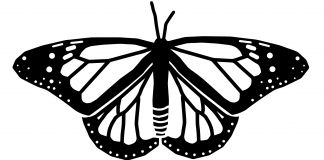 Kurzfilm: Between Beasts | Pass auf dich auf!