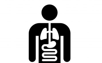 Kurzfilm: We Ate the Children Last | Fressen wie die Schweine