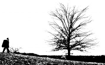 Kurzfilm: Bag Man | Manchmal muss man sich das Abenteuer erst suchen