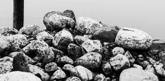 Kurzfilm: A Tale of Momentum & Inertia | Er hat’s doch nur gut gemeint!