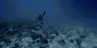 Kurzfilm: Ocean Gravity | Völlig schwerelos