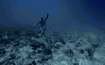 Kurzfilm: Ocean Gravity | Völlig schwerelos