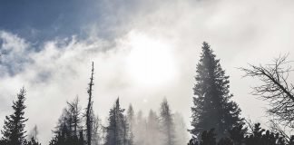 Kurzfilm: Astrae | Wenn es nicht mehr viel zu tun gibt