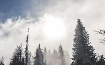 Kurzfilm: Astrae | Wenn es nicht mehr viel zu tun gibt