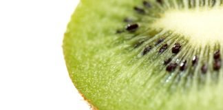 Kurzfilm: Kiwi! | Dein großer Traum