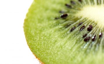 Kurzfilm: Kiwi! | Dein großer Traum