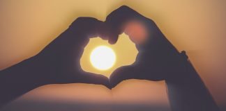 Kurzfilm: The Duck | Wo die Liebe hinfällt