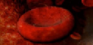 Kurzfilm: BloodTrail | Ein Film mit vielen roten Blutkörperchen