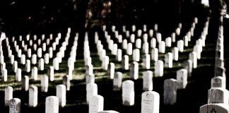 Kurzfilm: History Of Pets