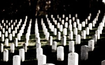 Kurzfilm: History Of Pets