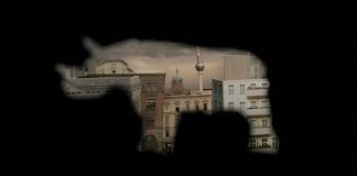 Kurzfilm: Nashorn im Galopp