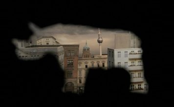 Kurzfilm: Nashorn im Galopp