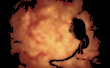 Kurzfilm: Edmond Kurzfilm: Edmond