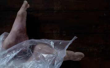 Kurzfilm: The Body Kurzfilm: The Body