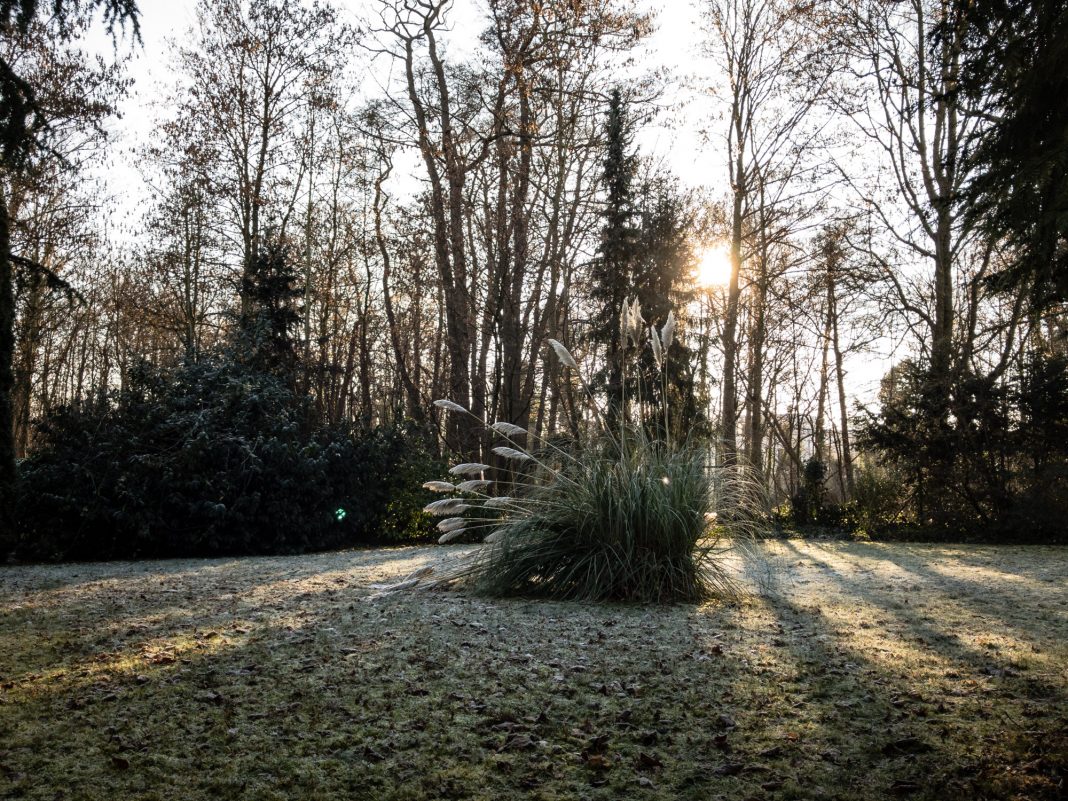 Foto: Garten im Winter