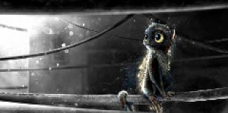 Kurzfilm: Shine Kurzfilm: Shine