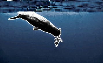 Kurzfilm: One breath around the world Kurzfilm: One breath around the world