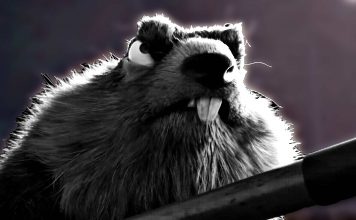 Kurzfilm: Wild Love Kurzfilm: Wild Love