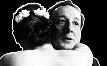 Kurzfilm: American Bison Kurzfilm: American Bison