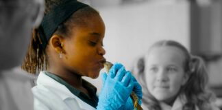 Kurzfilm: The Princess and the Formaldehyde Specimen Kurzfilm: The Princess and the Formaldehyde Specimen