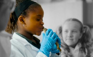 Kurzfilm: The Princess and the Formaldehyde Specimen Kurzfilm: The Princess and the Formaldehyde Specimen