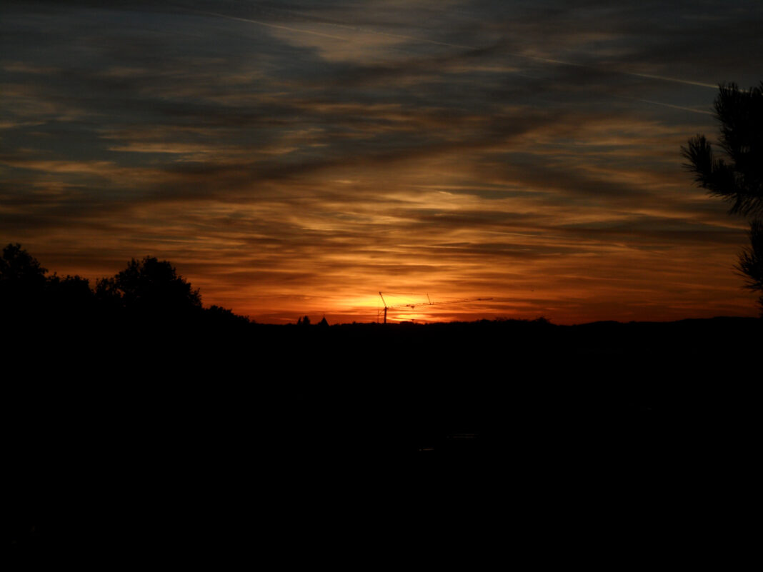 Foto: Kran im Sonnenuntergang