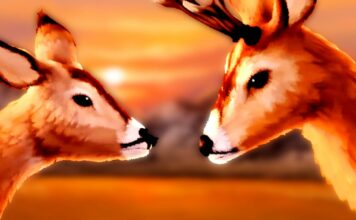 Kurzfilm: Une belle nuit d’été Kurzfilm: Une belle nuit d'été