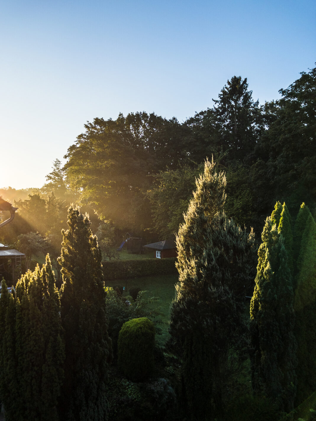 Leicht diesiger Sonnenaufgang über Spich