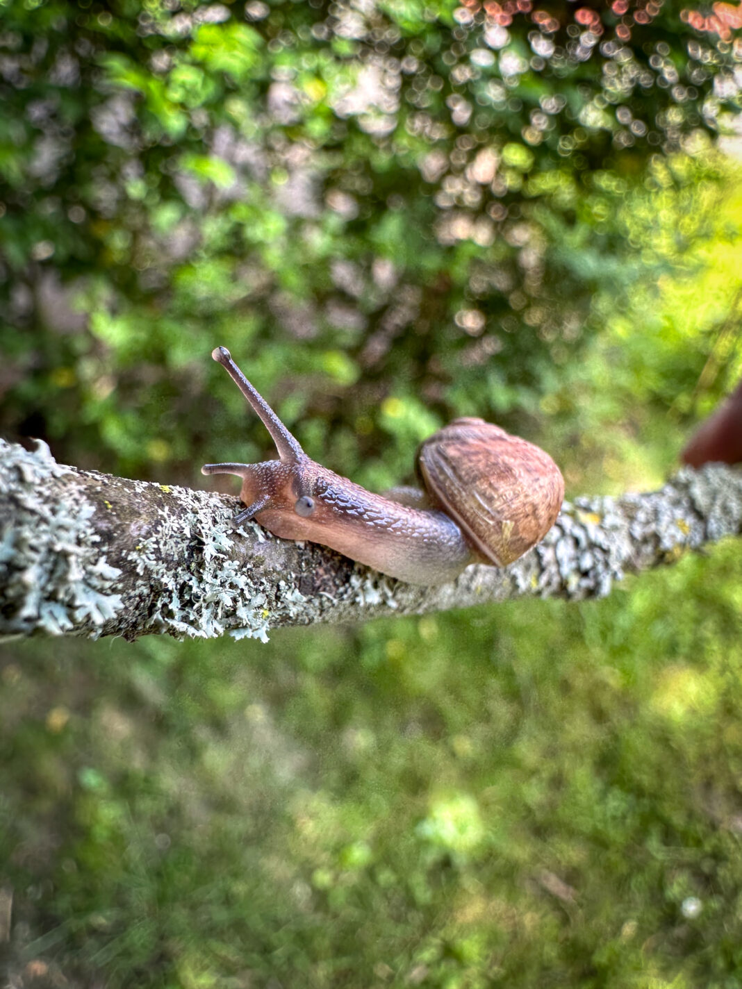 Foto: Besuch mit Haus