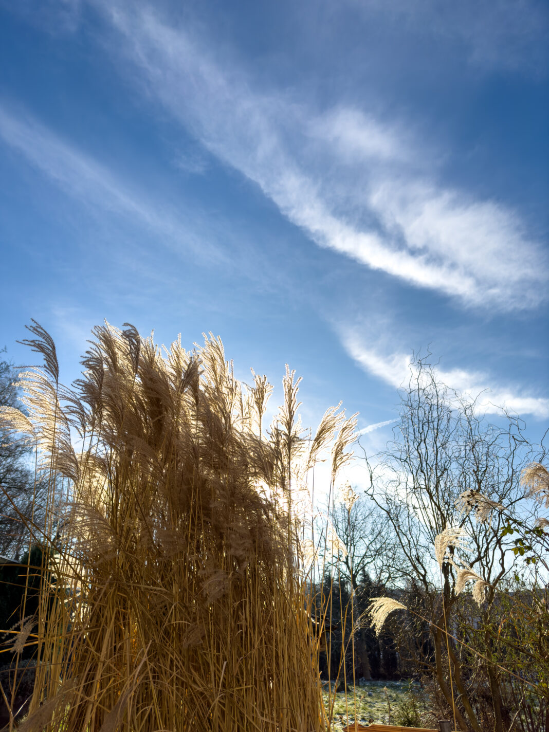 Foto: Wintergarten in Castrop