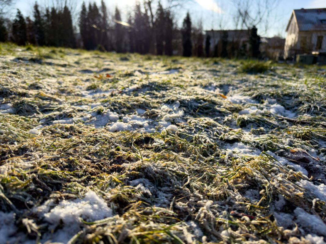 Foto: Castroper Winterlandschaft