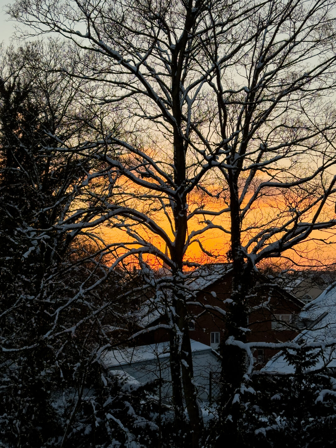 Foto: Winter is coming