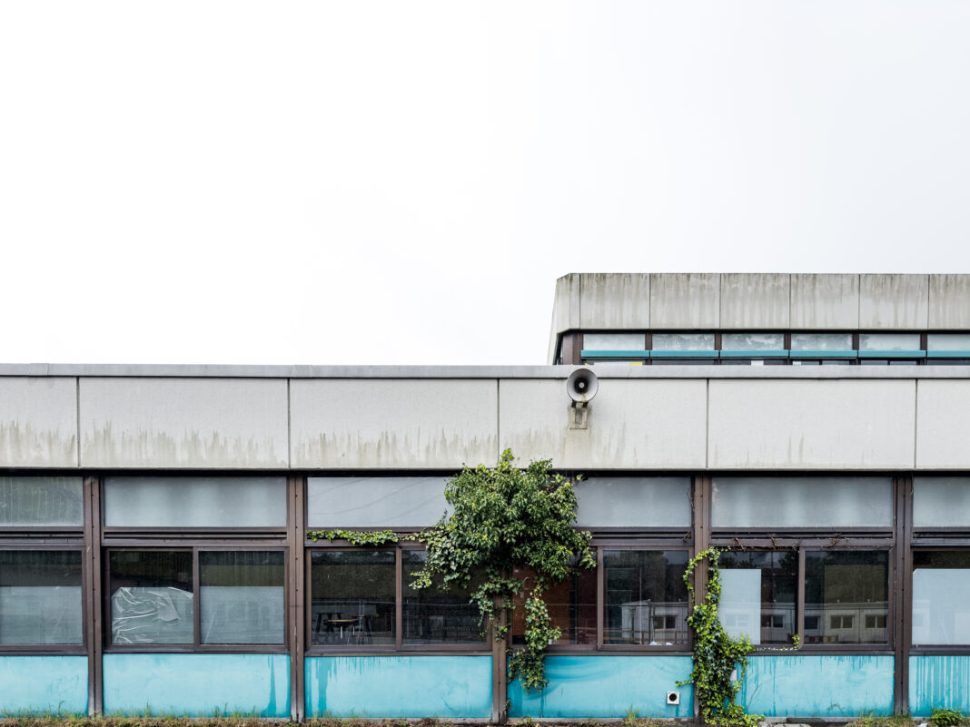 Foto: Busch an der alten Gesamtschule