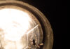 Foto: Spinne vor Lampe Foto: Spinne vor Lampe. Klingt als würde ich mir das hier einfach machen, aber mehr isses nicht. Eine schwach scheinende Lampe mit ner Spinne davor.